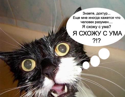 ���������� ����������