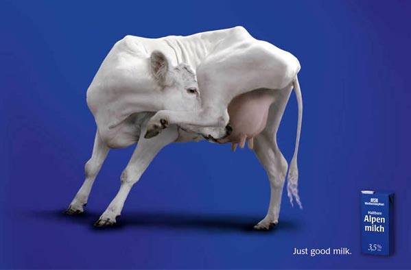 ������ ���������