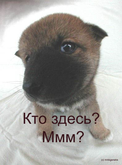 ������� ����